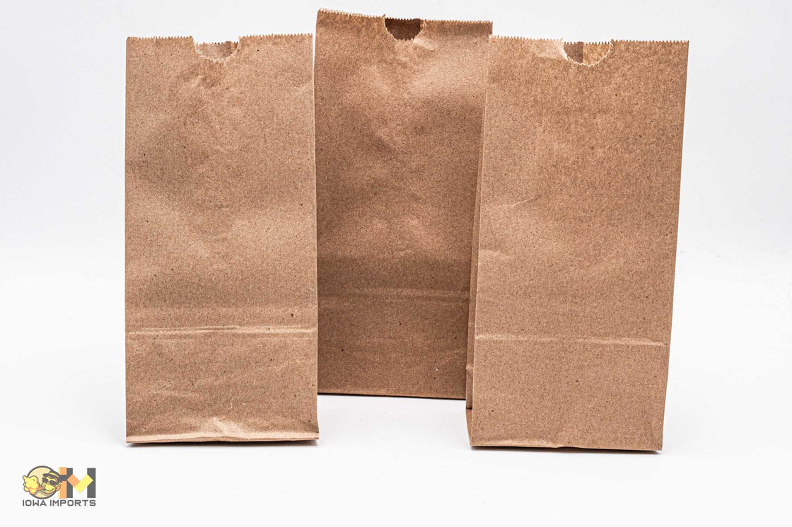 Brown Bags 500ct #4