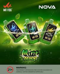 MR FOG NOVA 36K PUFFS 5CT/ BOX ( MINT STEEZY EDITION )