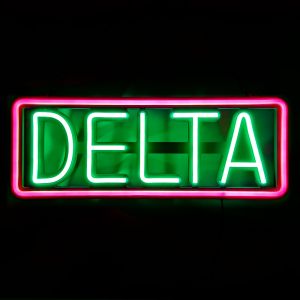 NEON SIGN WITH REMOTE CONTROL, DELTA, 1 SET, 24 x 8.8IN